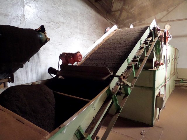 How The Tea Is Manufactured - Boiler Fired Drying Machine