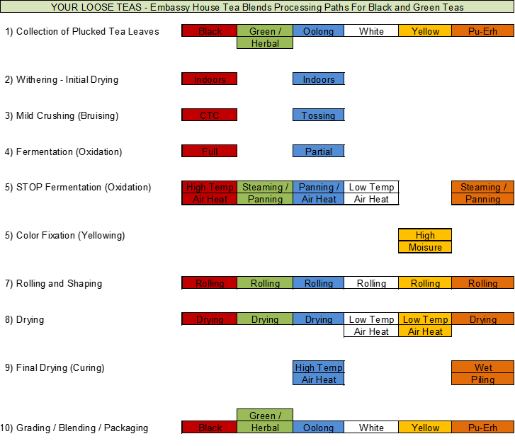 Black Tea vs Green Tea - Individual Processing Steps