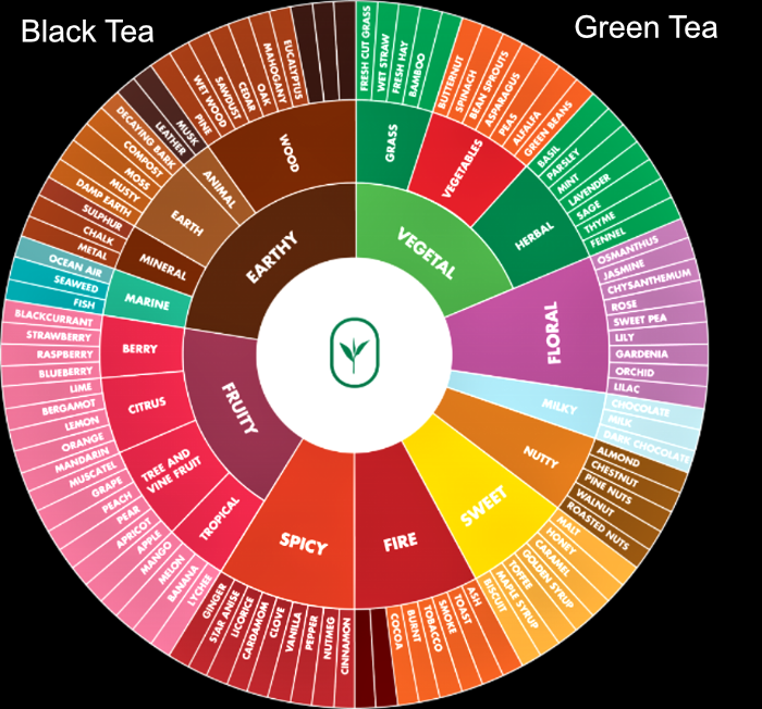 Black Tea vs Green Tea - Tasting Wheel
