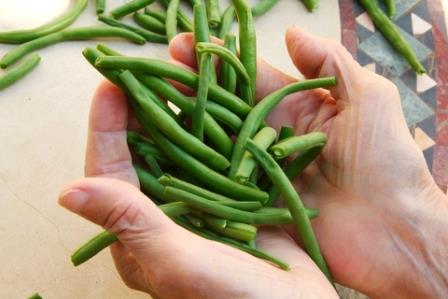 The taste of organic loose leaf green tea from Embassy House is that of freshly steamed green beans.