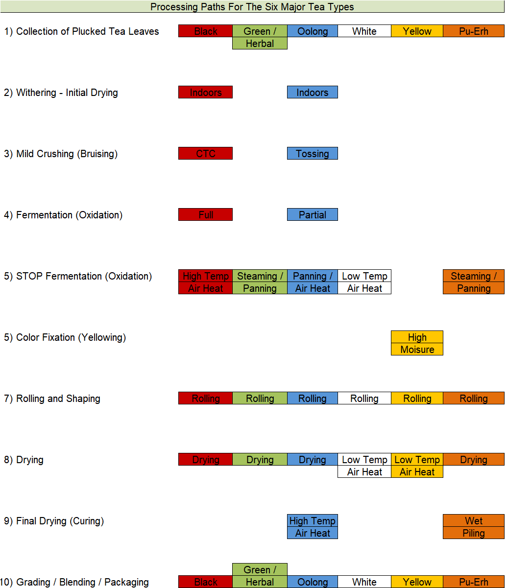 How Tea Is Manufactured - Processing Path for the Six Major Tea Types